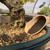 A close-up, high-angle shot captures the base of a gnarled bonsai tree with thick, textured bark and visible surface roots, planted in a blue glazed ceramic pot. A light-tan plastic soil scoop, part of a three-piece set, rests on the pot's inner rim, filled with dark, fine-grained bonsai soil. A small pile of this dark soil has been precisely deposited onto the lighter-colored, coarse gravel substrate already in the pot, demonstrating the utility of the scoop for detailed gardening tasks. The background is softly blurred, showing other bonsai and greenhouse structures, which emphasizes a focused moment of bonsai care and maintenance.