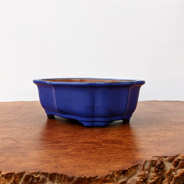 8" Blue Glazed Yixing Bonsai Pot (No. 1874) 8" Blue Glazed Yixing Bonsai Pot (No. 1874)