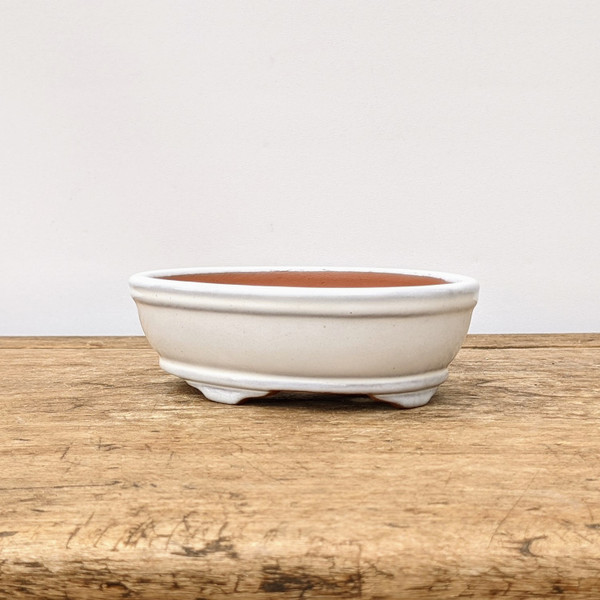 6" White Glazed Yixing Bonsai Pot (No. 1912)
