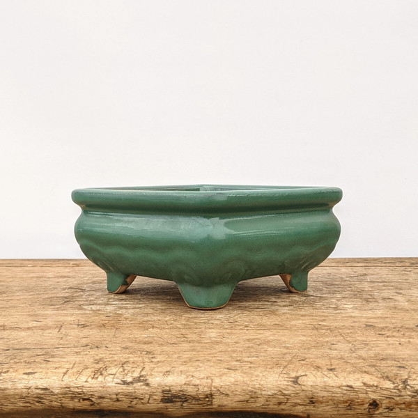6" Green Glazed Yixing Bonsai Pot (No. 1713) 6" Green Glazed Yixing Bonsai Pot (No. 1713)