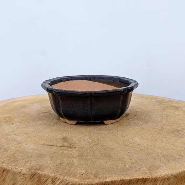 5" Glazed Yixing Bonsai Pot (No. 1095d)