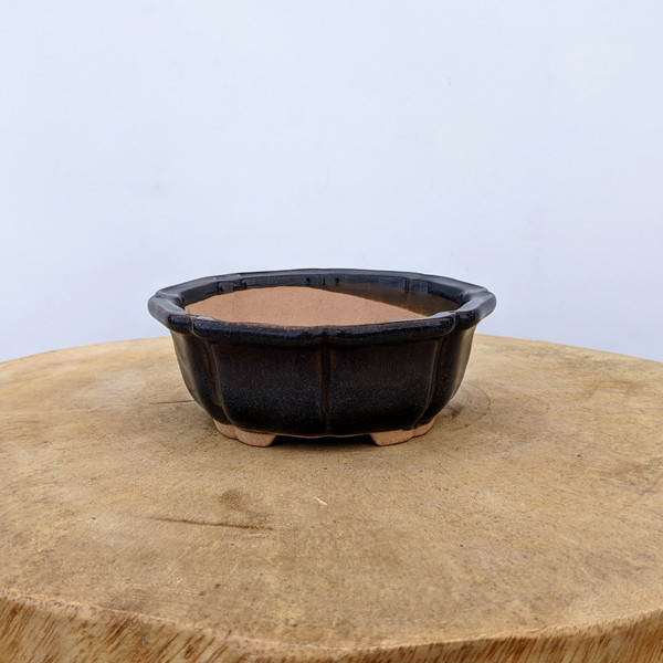 5" Glazed Yixing Bonsai Pot (No. 1095d) 5" Glazed Yixing Bonsai Pot (No. 1095d)