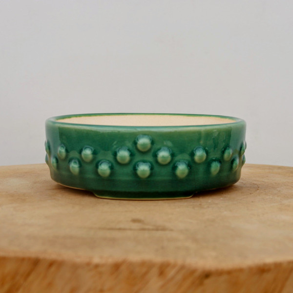 A shallow, circular forest green glazed ceramic bonsai pot, featuring a decorative textured exterior with rows of raised, bead-like circular studs arranged in a geometric pattern. The interior of the pot is a contrasting smooth cream color. The pot is presented on a natural wood grain slab against a neutral, off-white background, highlighting its glossy finish and artisanal design suitable for showcasing miniature trees.