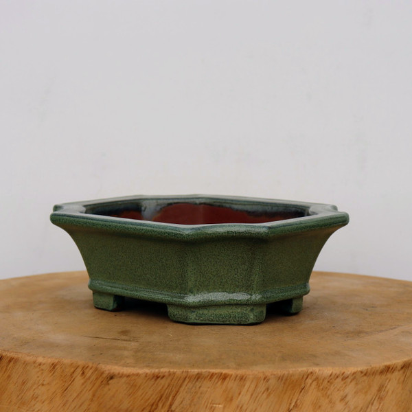 7-Inch Green Glazed Yixing Bonsai Pot (No. 2411e)