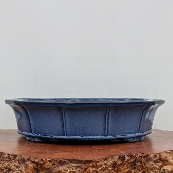 An eye-level, side-profile photograph of a shallow, oval-shaped glazed bonsai pot in a deep, mottled cobalt blue color. The exterior of the pot features a classic lobed design, with vertical ridges dividing the surface into distinct sections. The pot has a subtly flared rim and sits on low, integrated feet that provide a slight lift. It is displayed on a polished natural wood slab with a rugged, live burl edge, creating a contrast between the smooth ceramic and the textured wood. The entire setup is positioned against a clean, plain white background, which emphasizes the rich blue tones and elegant shape of the bonsai container.