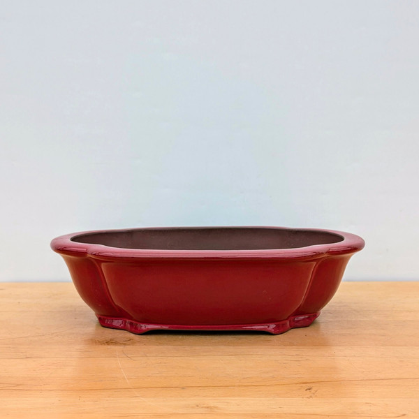 Pots - Glazed Bonsai Pots - 15-20 inches - Bonsai Outlet