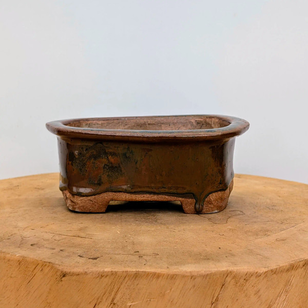 7-Inch Handmade Ceramic Bonsai Pot by Artist Bruce Lenore (No. 36)