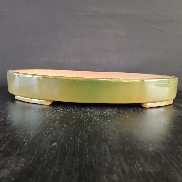 Pots - Glazed Bonsai Pots - 15-20 inches - Bonsai Outlet