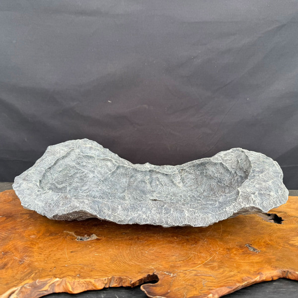 20" Preston Duncan Handmade Bonsai Slab (One-of-a-Kind)  (No. 9)