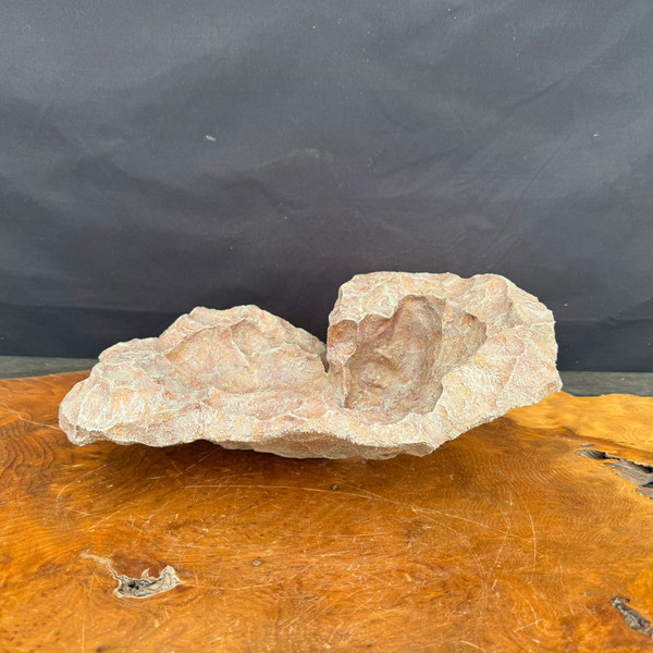 14" Preston Duncan Handmade Bonsai Slab with Weathered Stone Texture  (No. 13)