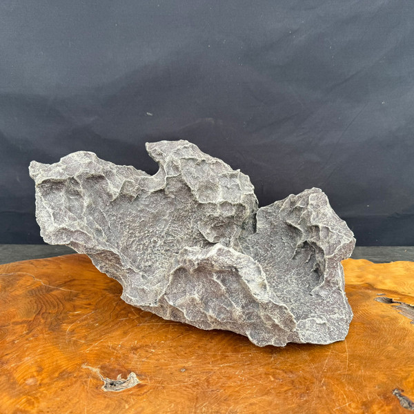 15" Preston Duncan Slab for Naturalistic Bonsai Compositions (No. 15)