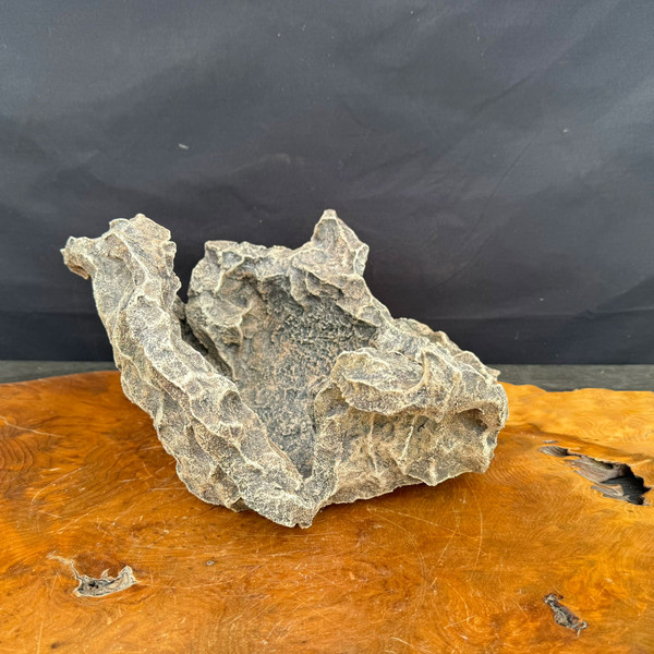 14" Unique Handmade Bonsai Slab by Preston Duncan, No Molds (No. 16)