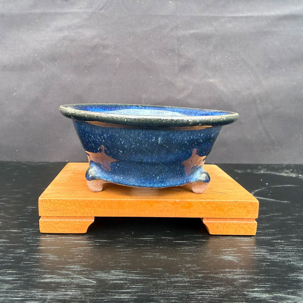 Side profile of Kakuzan Tokoname round bonsai pot with deep blue glaze, flared rim, and star motif on a display stand