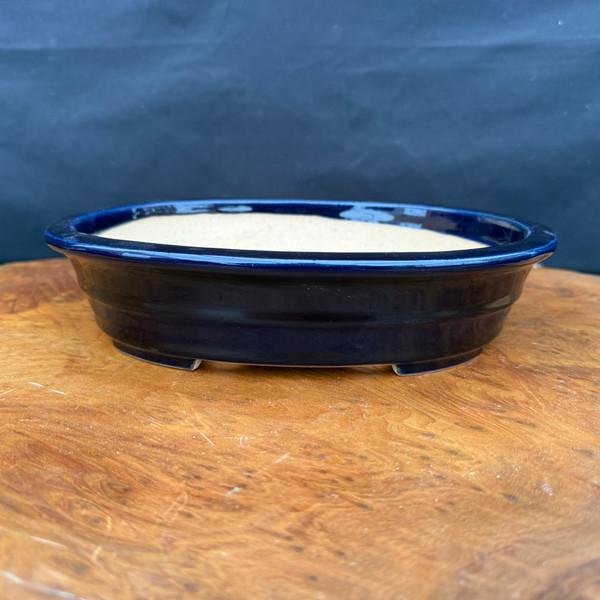 Side view of new dark blue oval Reiho bonsai pot with shallow profile and glossy glaze
