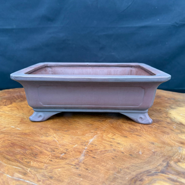 9.75 inch Bigei Tokoname rectangle bonsai pot with flared rim and curved feet front view