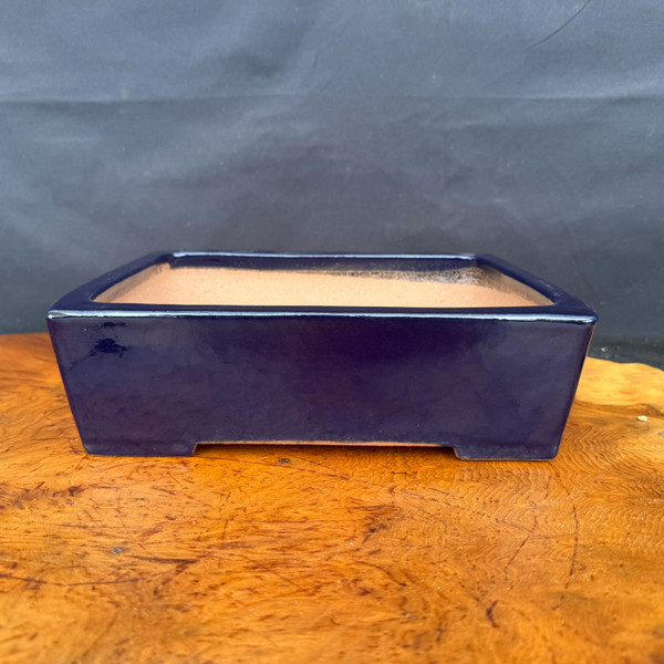 9.75 inch Yamafusa deep blue rectangle Tokoname bonsai pot front view