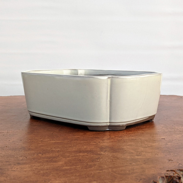 A rectangular, glazed ceramic bonsai pot with a soft, creamy off-white finish sits atop a polished, reddish-brown wooden surface. The pot features gently rounded corners and slightly flared sides, with subtle vertical indentations at each corner that create a delicate, paneled appearance. 

The glaze is smooth with a soft sheen, becoming thinner along the upper rim and corner ridges to reveal hints of a darker, brownish-grey ceramic body underneath, giving it a refined, hand-crafted look. The pot is elevated on small, integrated feet and has a dark, contrasting interior. It is presented against a clean, white-textured wall, with soft lighting that accentuates the pot's elegant proportions and the subtle variations in its glaze. This classic and sophisticated container is a prime example of a glazed bonsai pot designed to complement a wide variety of bonsai tree styles.