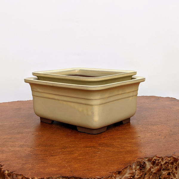 Cream Glazed Rectangle Japanese Bonsai Pot (Choose Size)