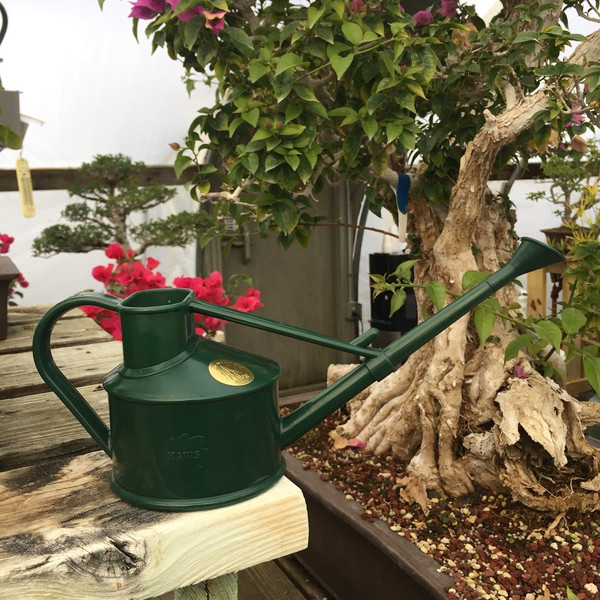 Bonsai Tree Watering Can - Haws | Handy Plastic 1 Pint