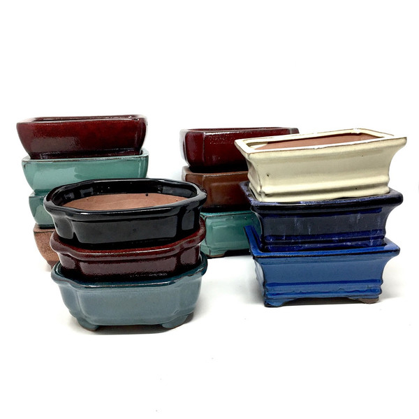 6" Glazed Ceramic Bonsai Pots (Choose Style)