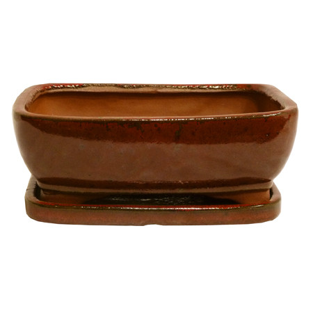 8" Pot & Fixed Tray (813-SA)