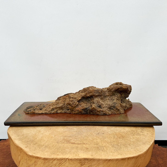 Suiseki Viewing Stone From Tim Shoup Collection (13" x 3.5")