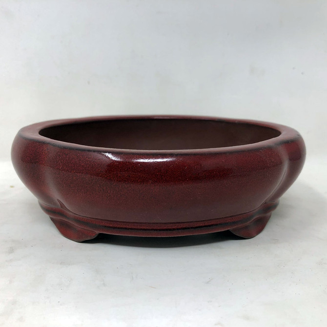 5" Red Glazed Yixing Pot (YX1102h)