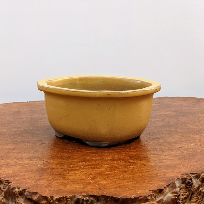 6-12" Glazed Japanese Yellow Bonsai Pot