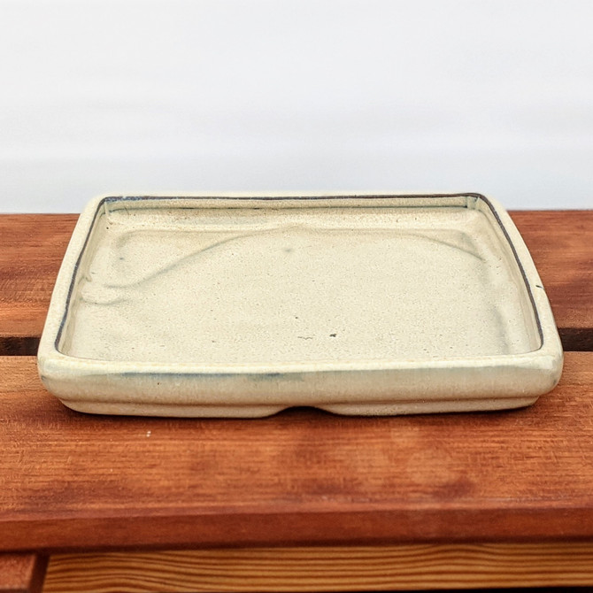 6" Square Ceramic Humidity Trays (Choose Color)