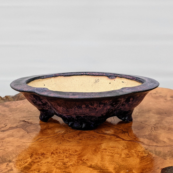 6" Bonsai Pot by Roy Minarai - American Handmade (18)