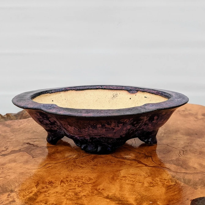 A professional photograph showcases a shallow, handmade Roy Minarai bonsai pot resting on a highly polished wooden burl surface. The ceramic pot features a deep, mottled purple glaze with dark, charcoal-colored speckles and a textured, matte-to-semi-gloss finish. Its design is characterized by a distinctive lobed or "cloud-shaped" rim that flares outward, and it is supported by three small, ornate, claw-like feet. The interior of the pot is left unglazed, showing a natural light tan or sandy-colored clay body. The pot is centered in the frame, reflecting softly onto the warm, amber-toned wood grain below, set against a clean, minimalist white background.