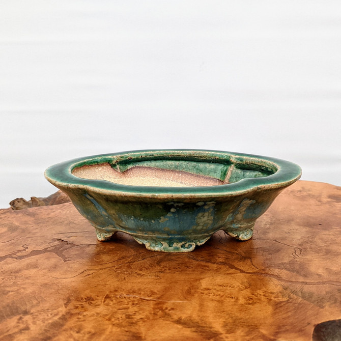 6" Bonsai Pot by Roy Minarai - American Handmade (20)