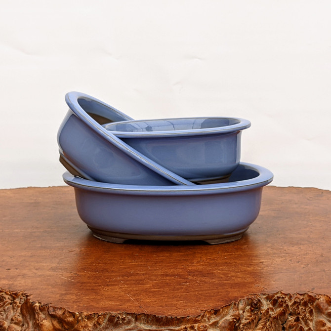 Light Blue (oval) Glazed Bonsai Pot (7-11")