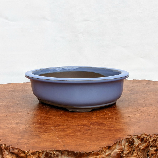 Light Blue (oval) Glazed Bonsai Pot (7-11")