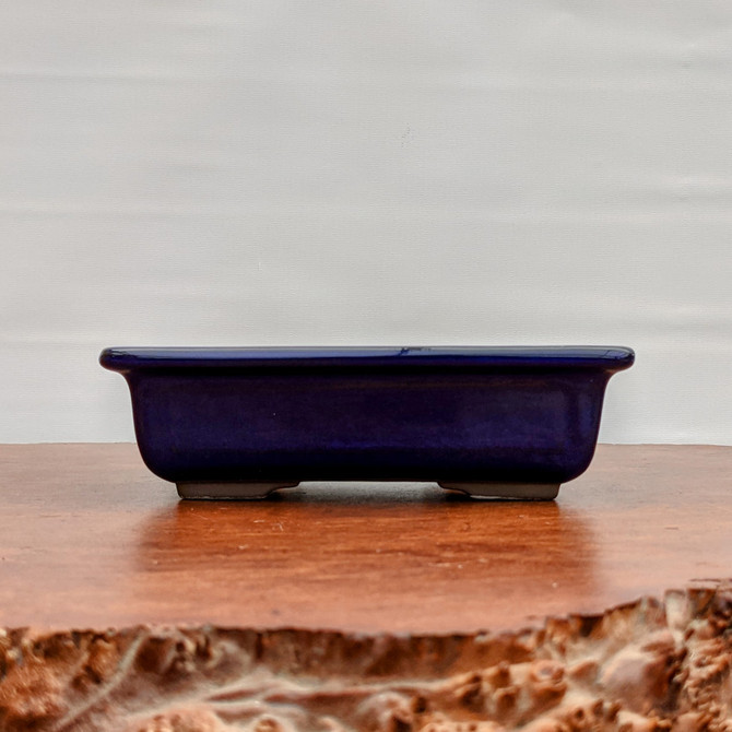 Dark Blue (rectangle) Glazed Bonsai Pot (7-11")