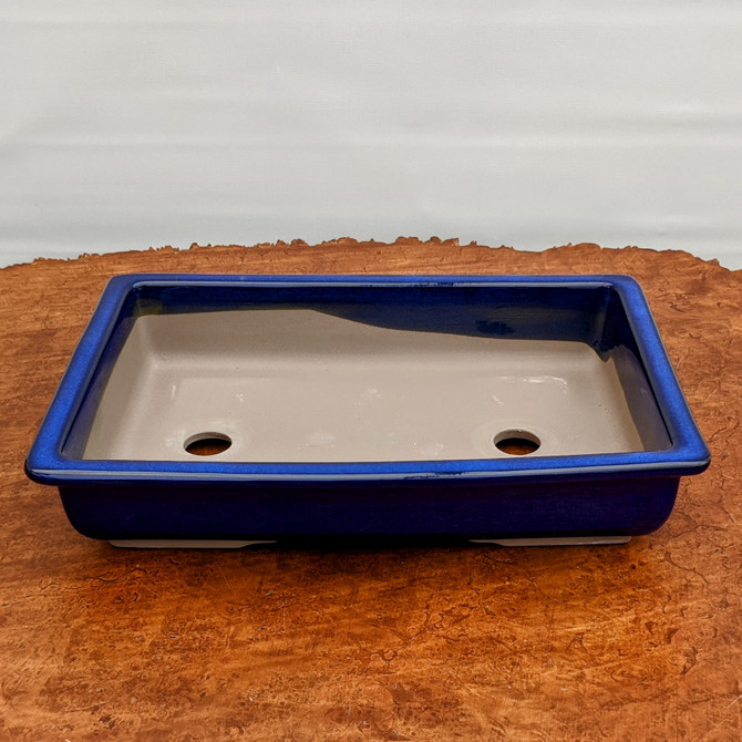 Dark Blue (rectangle) Glazed Bonsai Pot (7-11")