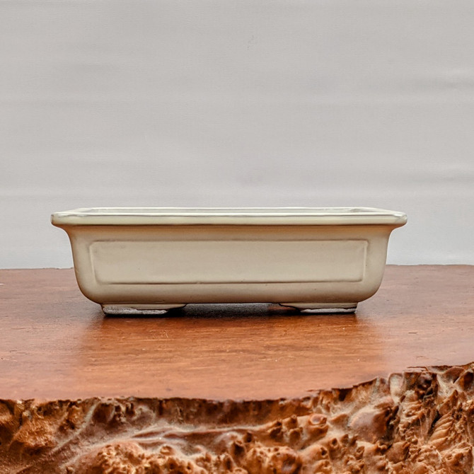 Cream (rectangle) Glazed Bonsai Pot (7-11")