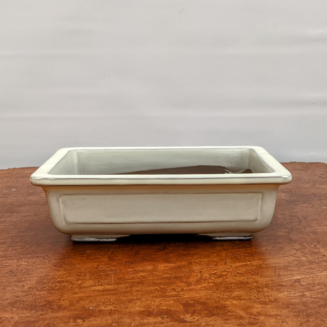 Cream (rectangle) Glazed Bonsai Pot (7-11")