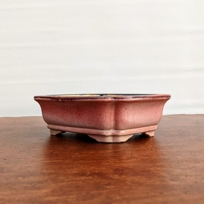 6" Glazed (Red-Ish) Yixing Bonsai Pot (No. 1531)