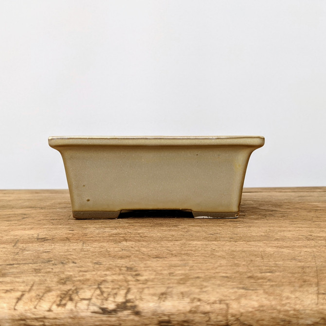 5-6" Cream (rectangular) Glazed Bonsai Pot (No. 052)