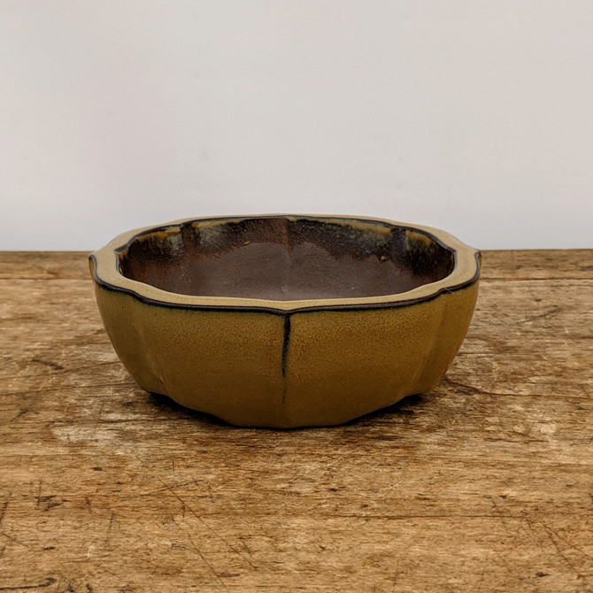 6" Glazed Yixing Bonsai Pot in Yellow (No. 1771)
