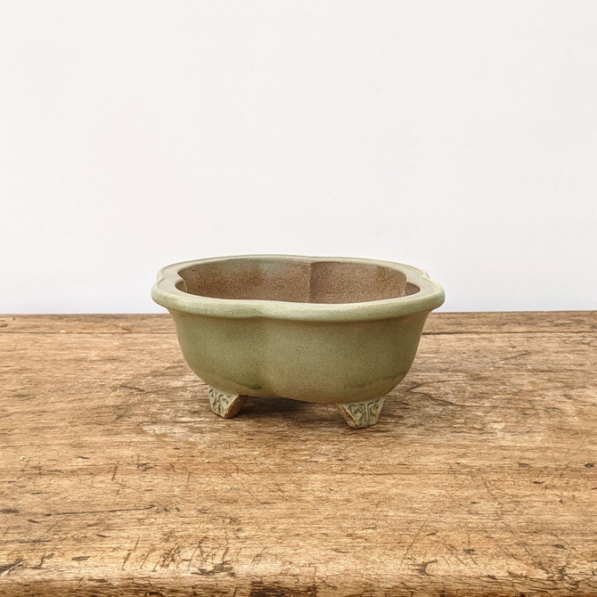 7" Glazed Yixing Bonsai Pot in Green (No. 1792)