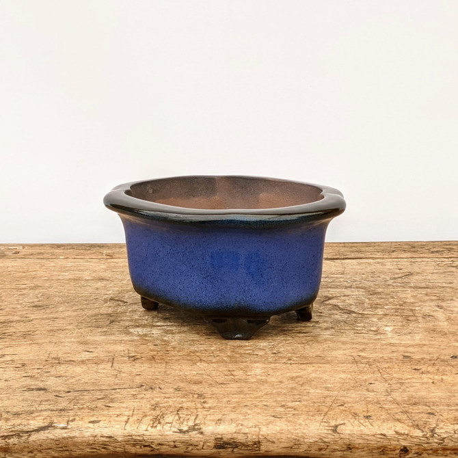 7" Glazed Rectangular Yixing Bonsai Pot (No. 1798)