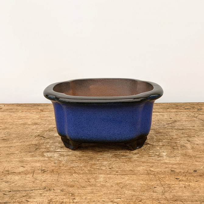 7" Glazed Rectangular Yixing Bonsai Pot (No. 1798)