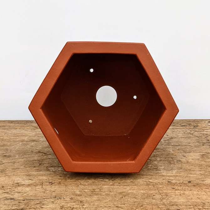 8" Etched Yixing Bonsai Pot (No. 1810)