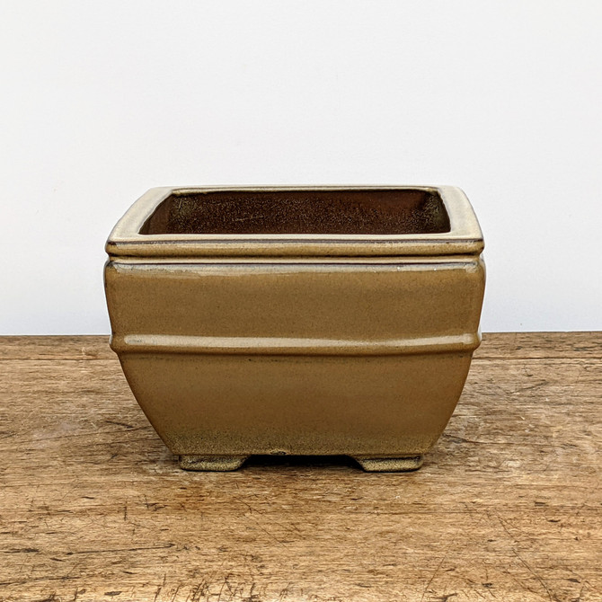 6" Yellow-ish Glazed Yixing Bonsai Pot (No. 1850e)