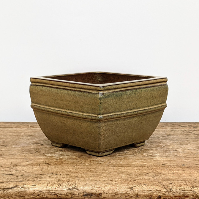 6" Yellow-ish Glazed Yixing Bonsai Pot (No. 1850h)
