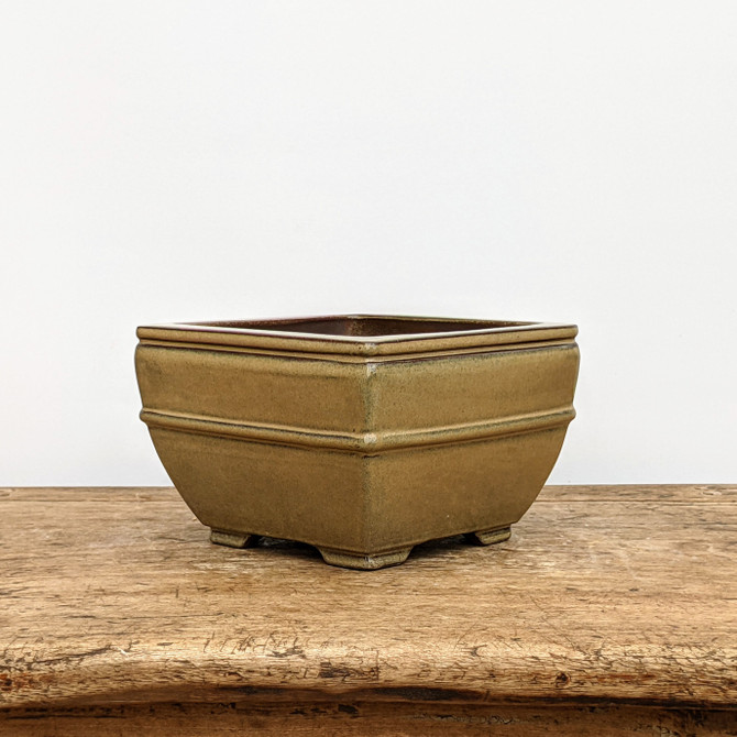 6" Yellow-ish Glazed Yixing Bonsai Pot (No. 1850i)
