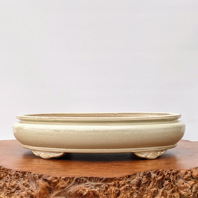 A side-view photo of a shallow, oval-shaped glazed white bonsai pot resting on a rustic wooden stand. The pot is finished in a smooth, creamy off-white glaze with a subtle, fine-grained texture. It features a thin, slightly protruding top rim above a rounded, bulging body. The pot is elevated on small, elegant feet with delicate carved scroll-like details. It sits on a thick, natural wood base with a rugged, uneven bark edge, creating a contrast between the refined ceramic and the raw timber. The background is a clean, minimalist off-white, highlighting the simple beauty and classic design of the bonsai pot.