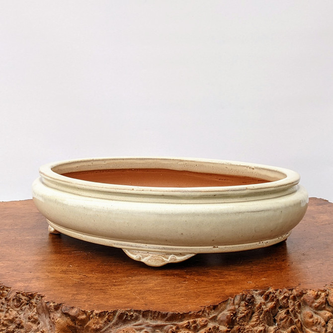 An oval, cream-colored glazed bonsai pot sits centered on a rustic, polished wooden base against a solid white background. The shallow ceramic pot features a smooth, rounded body with a slightly flared rim and a subtle horizontal ridge encircling the upper portion. While the exterior and rim are finished with a glossy off-white glaze, the interior remains unglazed, showing the natural reddish-brown color of the terracotta clay. The pot is supported by four small, decorative "cloud" feet featuring subtle ornate carvings. It rests on a thick slab of dark, warm-toned wood that has a polished surface and a textured, natural live-edge detail in the foreground, creating a striking contrast between the smooth pottery and the organic wood grain.